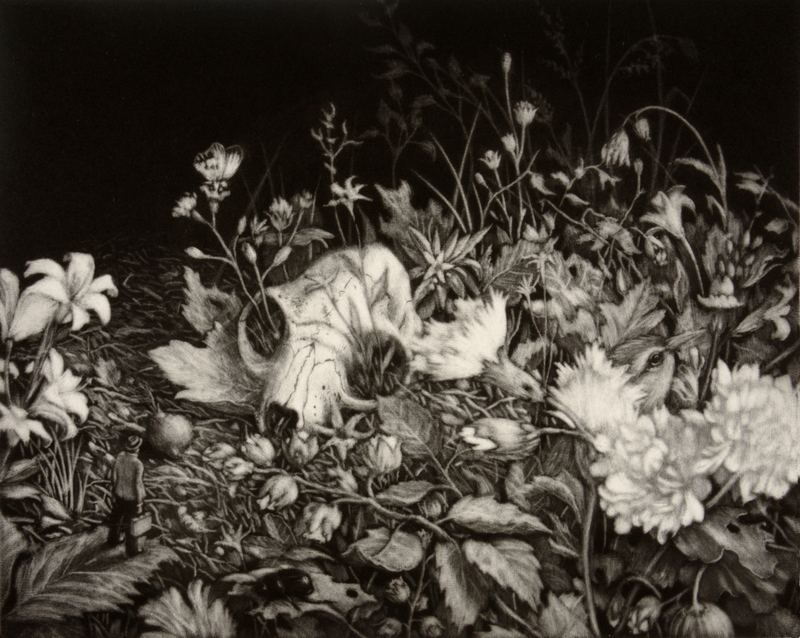 Image gallery